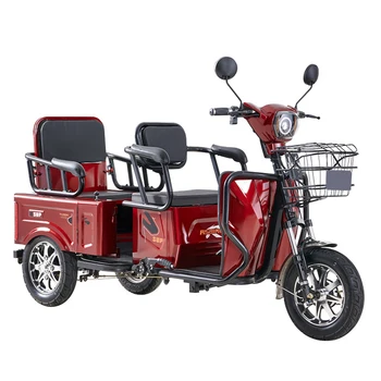 800\1000w Triciclo Elétrico de Pequena Escala Electromobile Doméstico de Passageiros E de carga Dupla Utilização da Bateria do Veículo