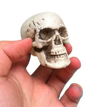 1/6 Escala Crânio do Esqueleto do Modelo de Kits de Acessórios Pingente de Decorações de Brinquedos de Figura de Ação O5H7
